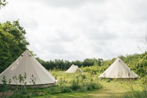 德瓦尔Eco Farm Camping 'de Waeldernis'的相册照片