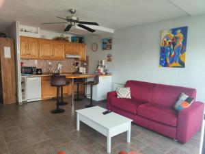 ein Wohnzimmer mit einem roten Sofa und einem Tisch in der Unterkunft Appartement in Saint Cyprien Plage