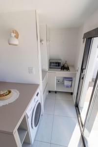 マル・デル・プラタにあるCheck and Home - Lamadrid - 4 Huéspedes a Estrenar con Amplia Terraza y Piletaの小さなキッチン(洗濯機、乾燥機付)
