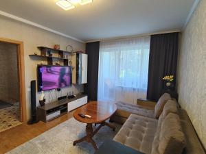 a living room with a couch and a television at Weekend Home in Visaginas
