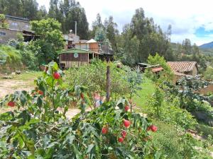 a group of people standing in a garden at Glamping colina campestre ecológica in Duitama