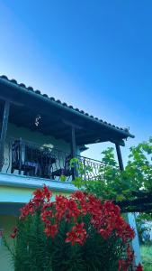 Balkón nebo terasa v ubytování Erato's Nest - Pelion