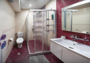 a bathroom with a shower and a sink and a toilet at Central Park Apartment in Veliko Tŭrnovo