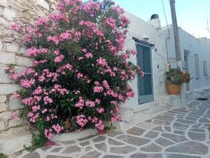 een grote struik met roze bloemen aan de zijkant van een gebouw bij Villa Romantica in Parikia