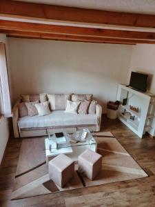 TV a/nebo společenská místnost v ubytování Zlatar duplex