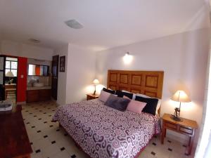 Postel nebo postele na pokoji v ubytování Hotel Doña Chela En Calvillo