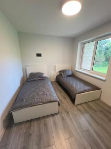 a bedroom with two beds and a window at Pušų Sodas in Birštonas