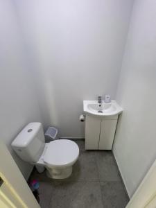 une salle de bains blanche avec toilettes et lavabo dans l'établissement Pušų Sodas, à Birštonas