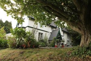 Κήπος έξω από το Robin Hill House Heritage Guest House