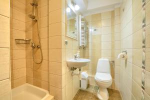 a bathroom with a toilet and a sink and a shower at Rezydencja Karnat in Karpacz +11 photos