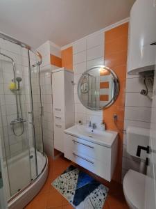Un baño con lavabo, ducha y espejo. en Central Spot BL, en Banja Luka