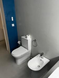ein Badezimmer mit einer weißen Toilette und einem Waschbecken in der Unterkunft Arrenquinha Guesthouse # Margarida in São Vicente Ferreira