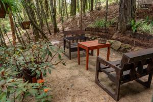 three benches and a table in a garden at Cotan Ecolodge in La Esperanza