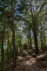 a path in a wooded area with at Cotan Ecolodge in La Esperanza