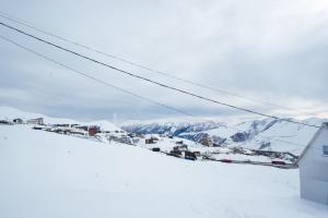 Snow Haven for 10 v zimě