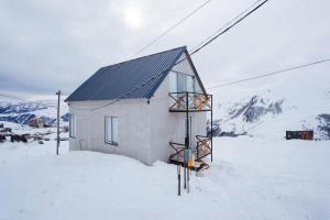 Snow Haven for 10 v zimě