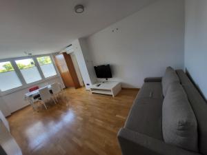 a living room with a couch and a tv at Apartma Dejan in Semedela