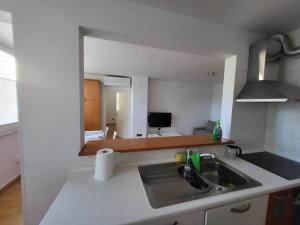 a kitchen with a sink and a counter top at Apartma Dejan in Semedela