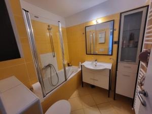 a bathroom with a sink and a shower and a toilet at Apartma Dejan in Semedela
