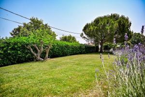 Vonkajšia záhrada v ubytovaní Villa Mirela