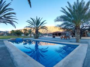 a swimming pool with palm trees and a house at Hotel El Nogalito in Cuatrociénegas de Carranza