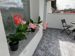 Balkón nebo terasa v ubytování Apartmani Jozić