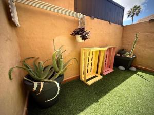 Fotografie z fotogalerie ubytování Onix Home v destinaci Corralejo