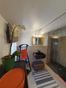 a bathroom with a shower and a sink in a room at Lou Pantai, Bed and Breakfast, double room in Aix-en-Provence