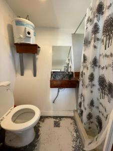 a bathroom with a toilet and a sink and a mirror at Cabañas El Yaguaron in La Porteña