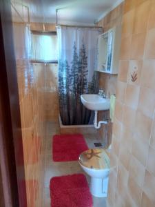 a bathroom with a shower and a toilet and a sink at Summer Dream in Rovinj +42 photos