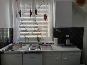 Kuchyň nebo kuchyňský kout v ubytování Apartmani Jozić