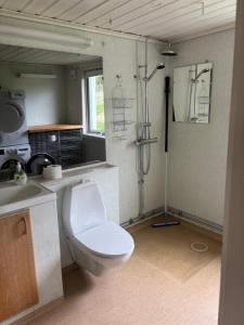 een badkamer met toilet en douche bij Gräfs in Bruksvallarna