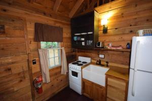 Η κουζίνα ή μικρή κουζίνα στο South Fork cabin at Cabin Fever in NC