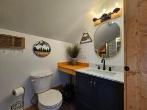 a bathroom with a toilet and a sink and a mirror at Saluda Summit Cabin at Cabin Fever in Saluda +52 photos