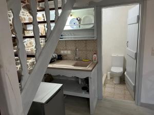 a small kitchen with a sink and a toilet at Rodakas Rooms-Pelagia in LivadhokhÃ³rion