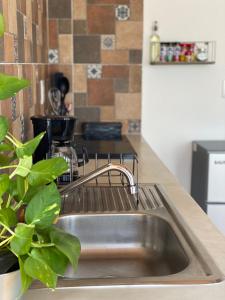 eine Küchenspüle mit einem Wasserhahn und einer Pflanze in der Unterkunft Your Cozy Corner in Oaxaca with AC in Oaxaca de Juárez