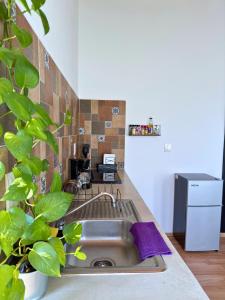 eine Küche mit Spüle und einigen Pflanzen in der Unterkunft Your Cozy Corner in Oaxaca with AC in Oaxaca de Juárez + 44 Fotos