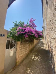 an alley with flowers in a basket on a door at Apartment Rocky in Vis