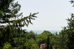 Příroda nedaleko prázdninového domu