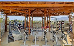 a gym with a lot of treadmills and ellipticals at Gaia Garden in Kos