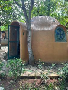 Una casa abovedada con una puerta y un árbol. en iglu do cerrado, en Pirenópolis
