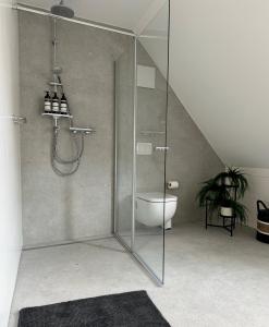 a bathroom with a glass shower with a toilet at Emils City Suite in Vreden +16 photos