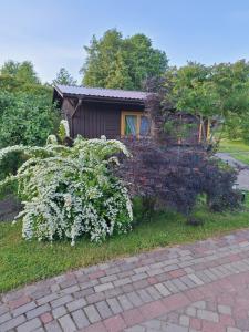 ein Haus mit einigen Büschen davor in der Unterkunft Spāres in Pāvilosta
