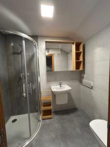 a bathroom with a shower and a sink and a toilet at Vista Santa Mariña in Cambados