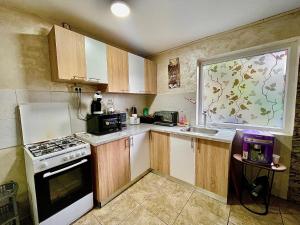 a small kitchen with a stove and a sink at La Cico 2 in Dubova +20 photos