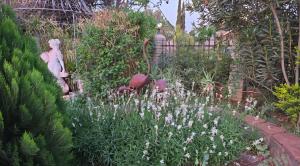 a garden with a statue in the middle of it at Flower Lane Guesthouse in Kathu