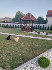 Fotografie z fotogalerie ubytování Matvik v destinaci Kragujevac