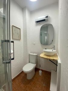 a bathroom with a white toilet and a sink at BERCK RDC 4 6 pers600M plage in Berck-sur-Mer