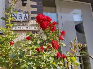 a street sign and red roses in front of a building at Ferienwohnung Melba in Traben-Trarbach