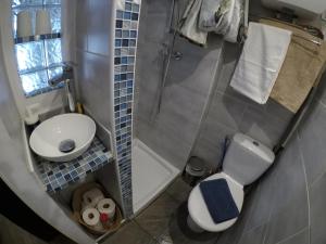 塞特港Studette centre ville entre Mer & Étang - Parking的带厕所和淋浴的小浴室 更多12张照片